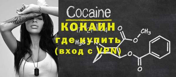 твердый Коряжма