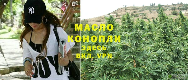 индика Бердск
