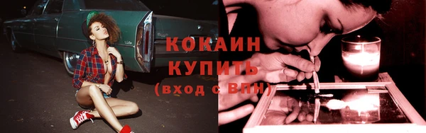 тгк Костерёво