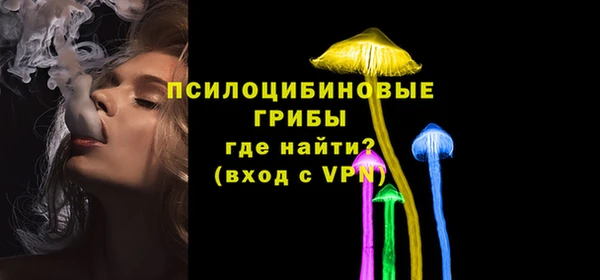 хмурый Корсаков