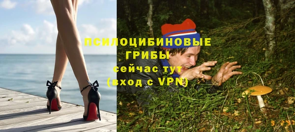 твердый Коряжма