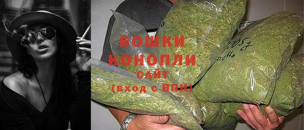 прущие грибы Козловка