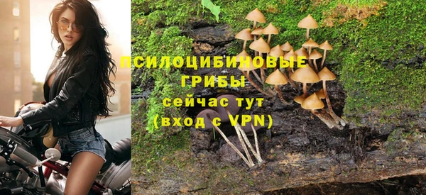 герыч Козельск